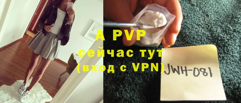 где можно купить   Куровское  A-PVP VHQ 